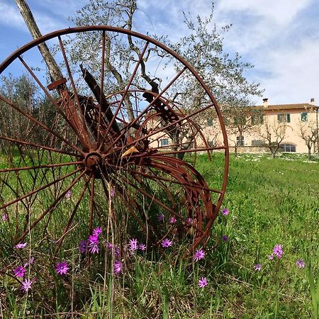 Agriturismo La Torricella Pistoia Ngoại thất bức ảnh