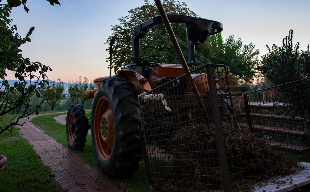 Agriturismo La Torricella Pistoia Ngoại thất bức ảnh