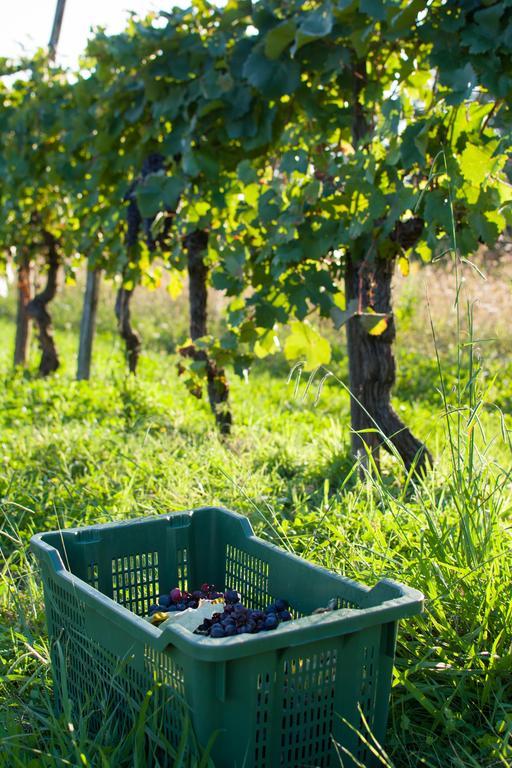 Agriturismo La Torricella Pistoia Ngoại thất bức ảnh