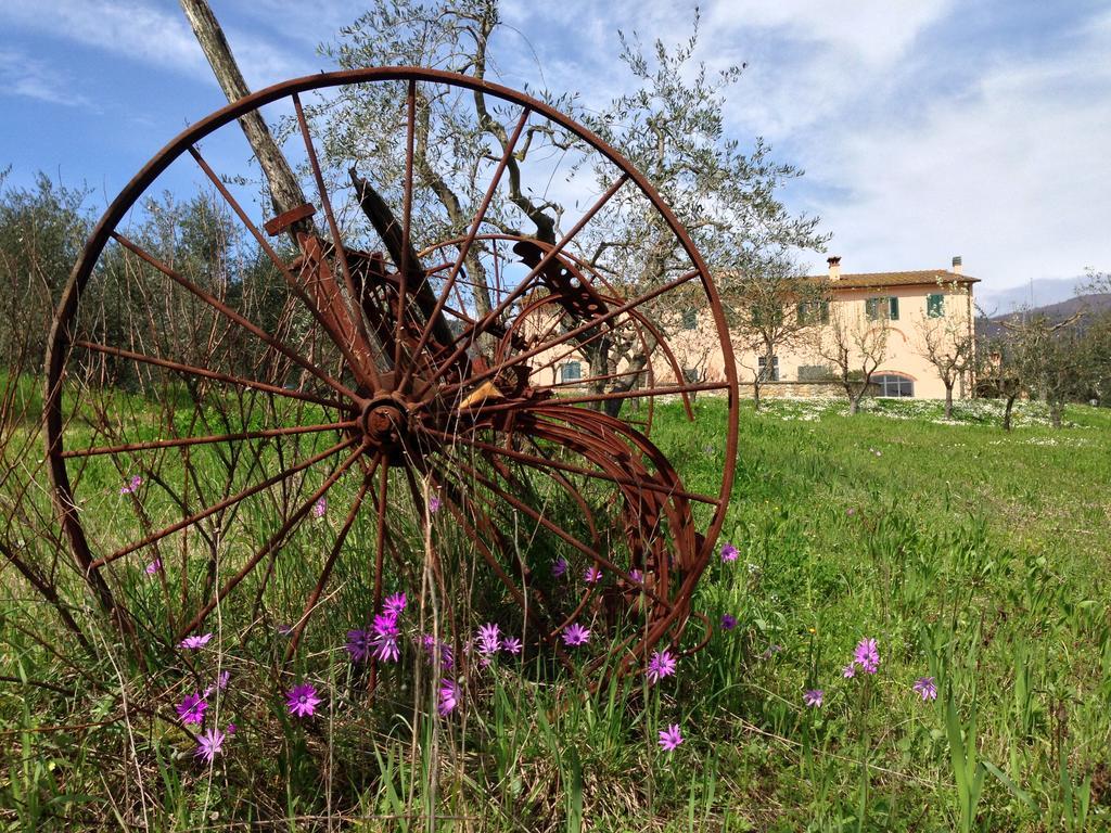 Agriturismo La Torricella Pistoia Ngoại thất bức ảnh